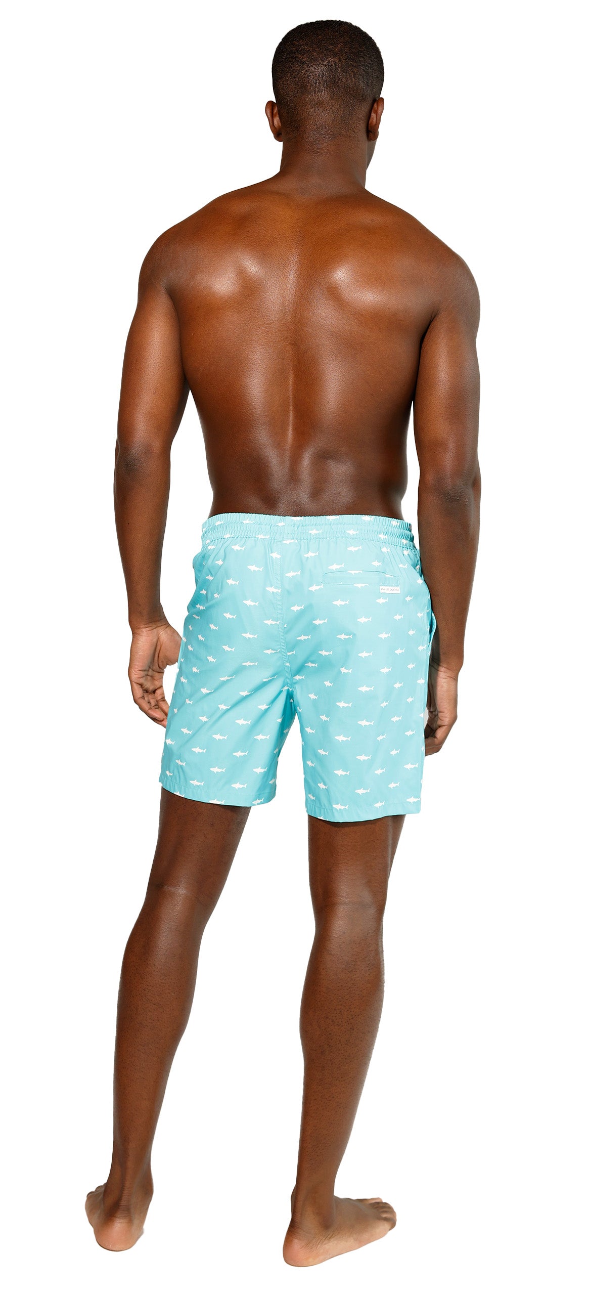 Shark Hunt Swim Short