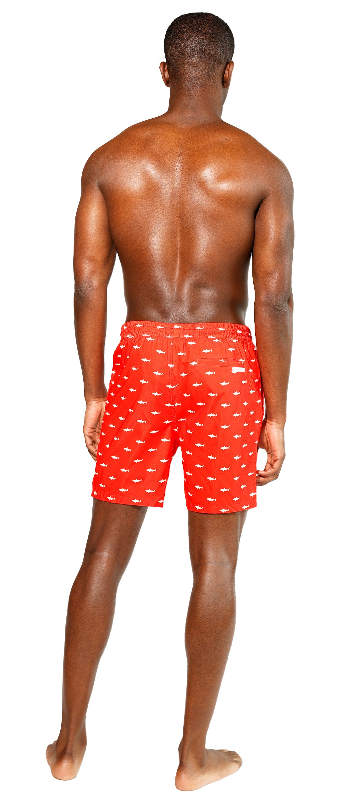Shark Hunt Swim Short