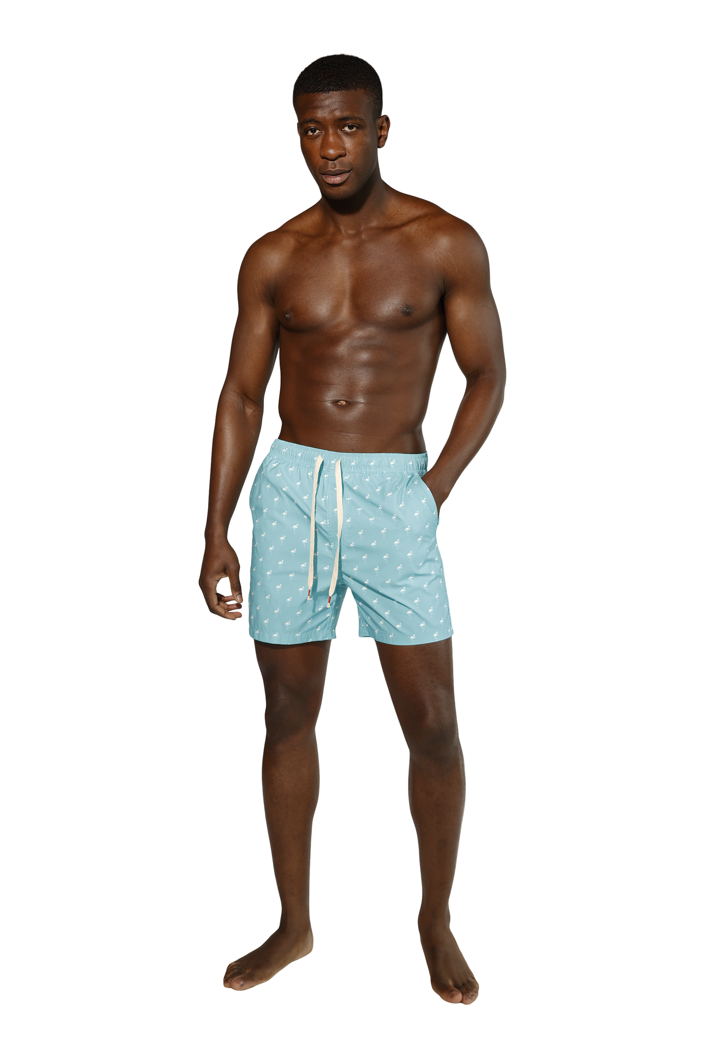 Flamingos Swim Short