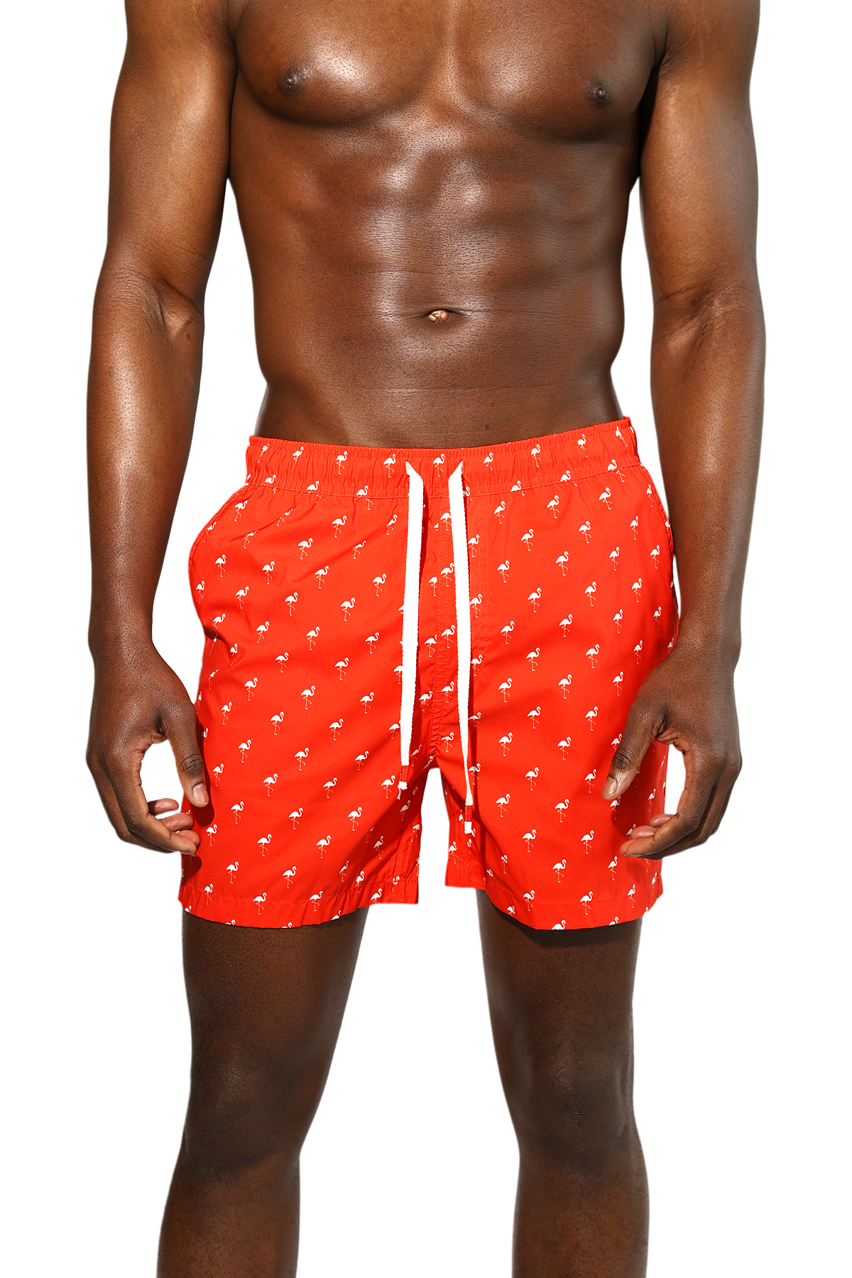 Flamingos Swim Short