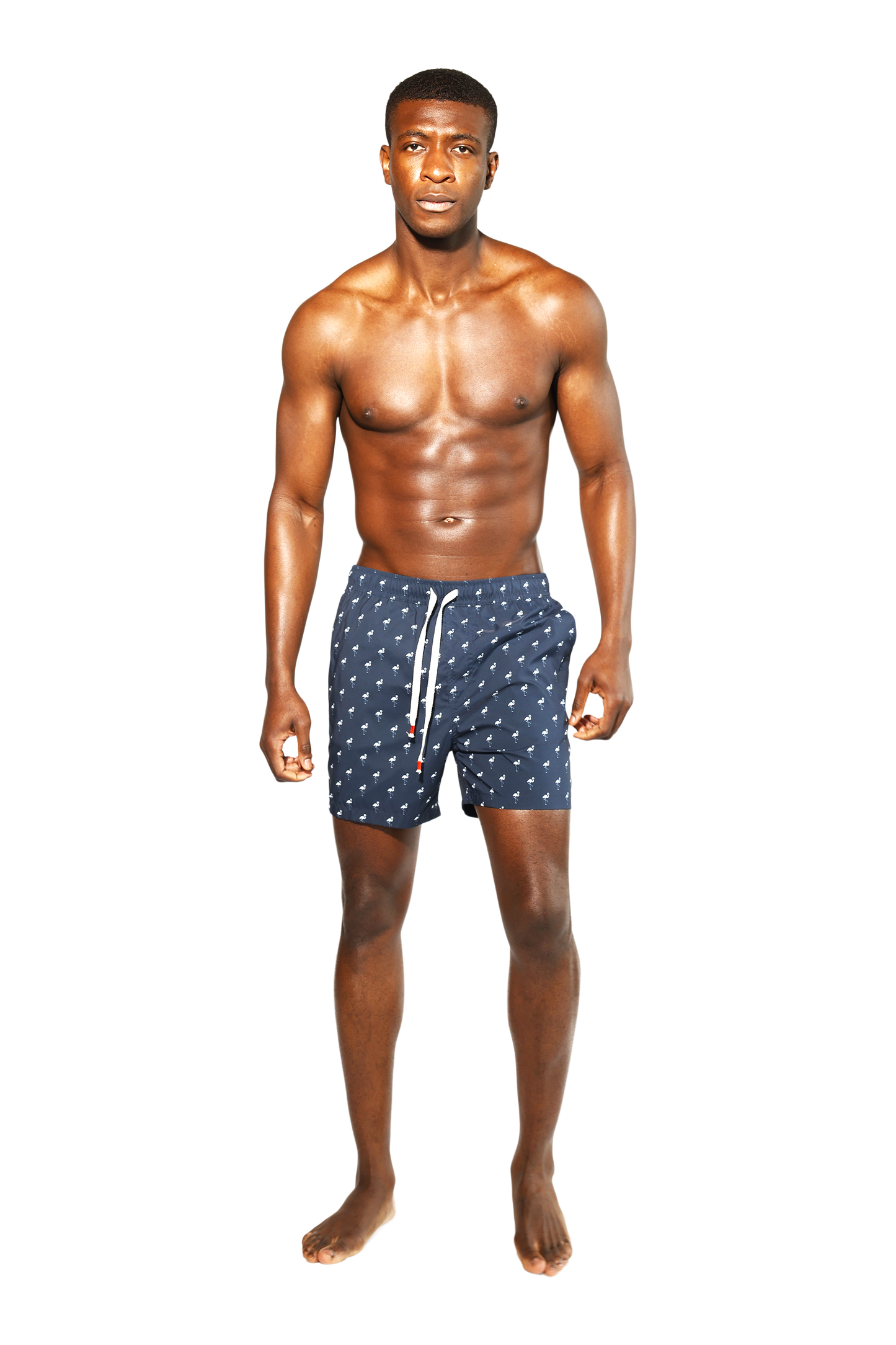 Flamingos Swim Short