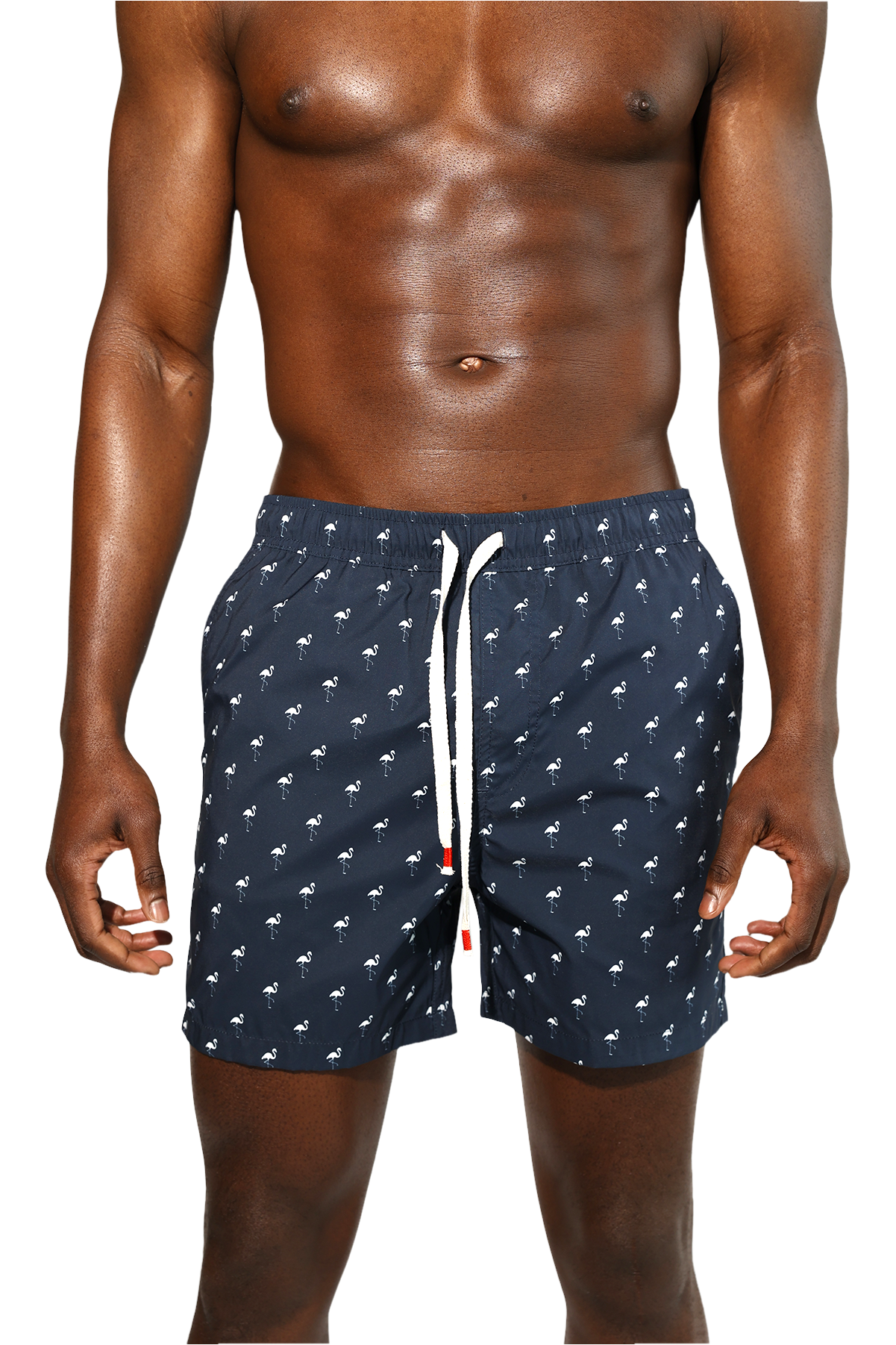Flamingos Swim Short